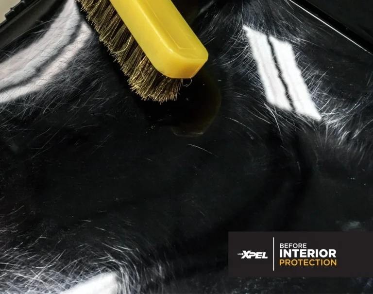 imgi_3_XPEL-Interior-Protection-before-scratchesjpg