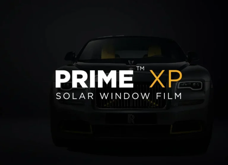 2023_PRIME-XP-01-1024x740