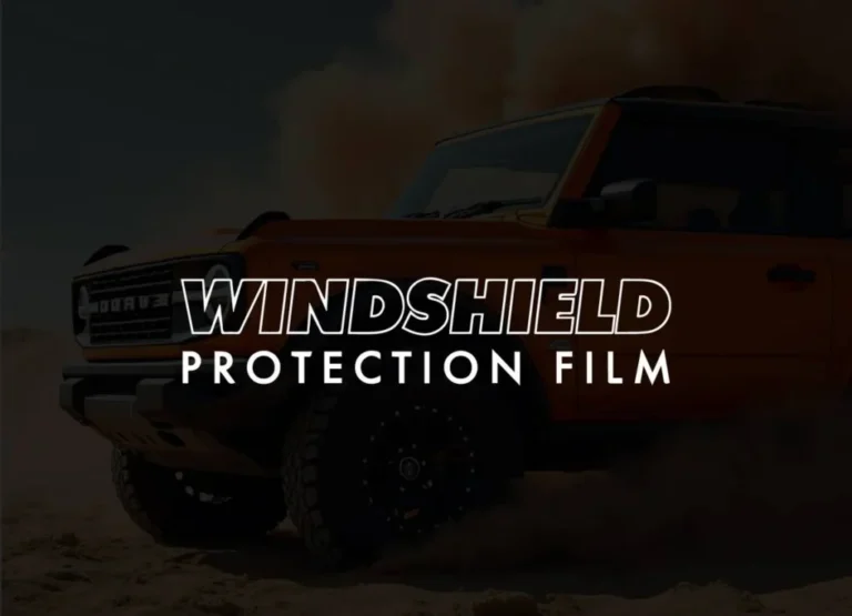 2024_WPF-01-1024x740